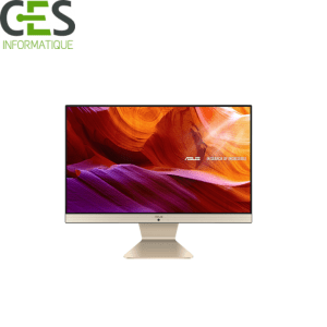 Ordinateur All In One Asus V222F